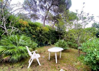giardino - Villa Via Renato Fucini, Livorno - foto 28