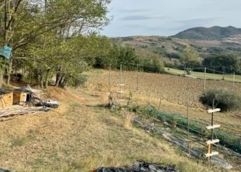 IMG_0179.jpg - Casale Via San Paolo 5, Sogliano al Rubicone - foto 4