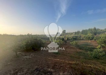 Villa Contrada Velez, Partinico - foto 16