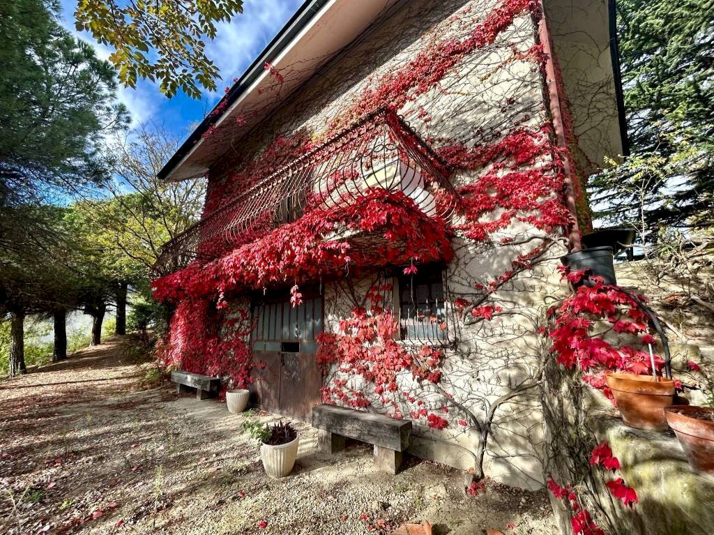 Giardino - Rustico Mango - foto 2