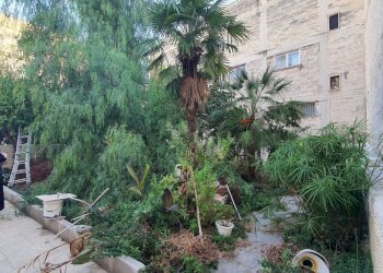 Terratetto - Terracielo Casalino, Triggiano - foto 7