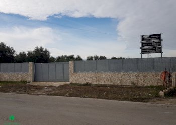 Terreno edificabile STRADA STATALE 100, Triggiano - foto 1