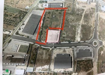 Building land Triggiano - photo 3