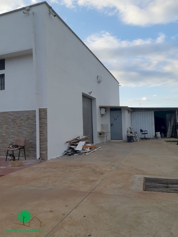 Capannone Str. Vicinale Sagnisi, Triggiano - foto 1