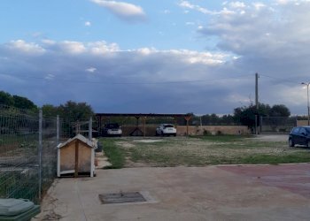 Capannone Str. Vicinale Sagnisi, Triggiano - foto 3