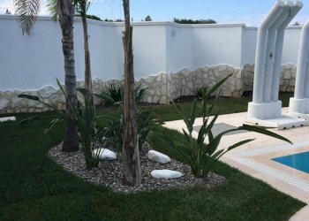 Small Villa Bari - photo 4