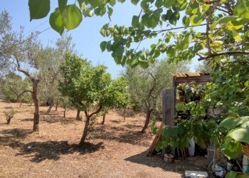 Small Villa Via Traversa   Numero civico 42, Bari - photo 15