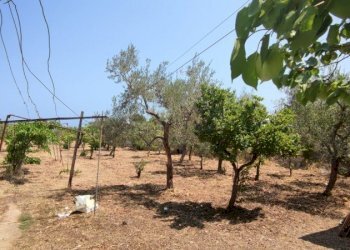 Small Villa Via Traversa   Numero civico 42, Bari - photo 18