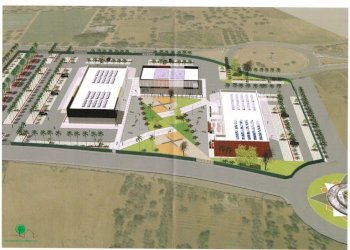 Building land Triggiano - photo 1