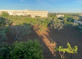 Villetta Bari - foto 5