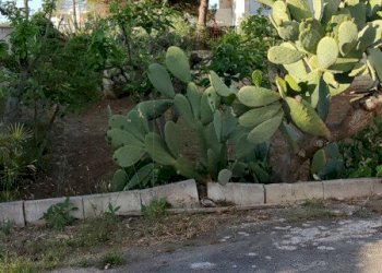 Villetta Bari - foto 8