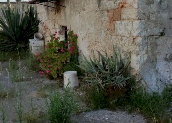 Villetta Bari - foto 11