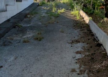 Villetta Bari - foto 20