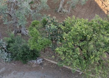 Villetta Bari - foto 38