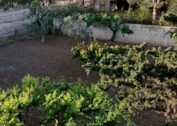 Villetta Bari - foto 39