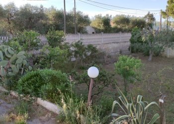 Villetta Bari - foto 60