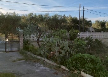 Villetta Bari - foto 61