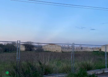 Building land Cellamare - photo 1