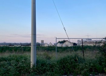 Building land Cellamare - photo 2
