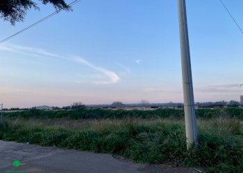 Building land Cellamare - photo 4