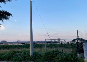 Building land Cellamare - photo 7