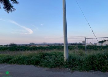 Building land Cellamare - photo 8