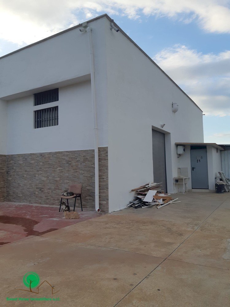 Shed Triggiano - photo 1