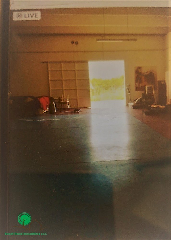 Shed Triggiano - photo 2