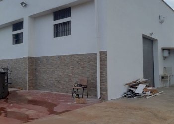 Shed Triggiano - photo 4