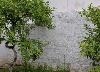 Townhouse Traversa Via Bari, Capurso - photo 3