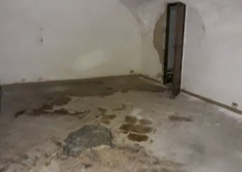 Villetta Triggiano - foto 5