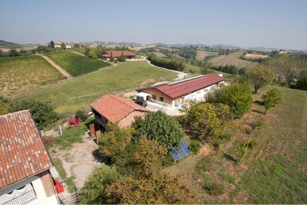 Azienda agricola Alessandria - foto 1