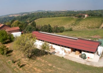 Farm Alessandria - photo 2