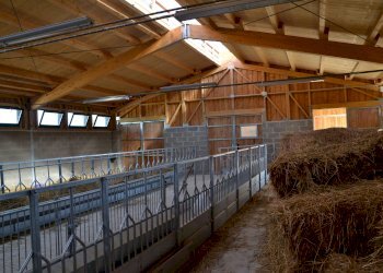 Farm Alessandria - photo 5