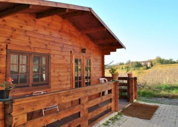 Farm Alessandria - photo 8