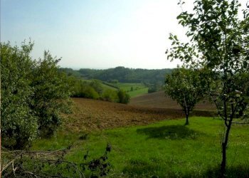 Farm Alessandria - photo 11