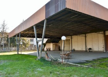 Tettoia.jpeg - Capannone Via Guido Rossa, San Pietro in Casale - foto 4