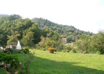 Rif 444 2.JPG - Appartamento Sassello - foto 22