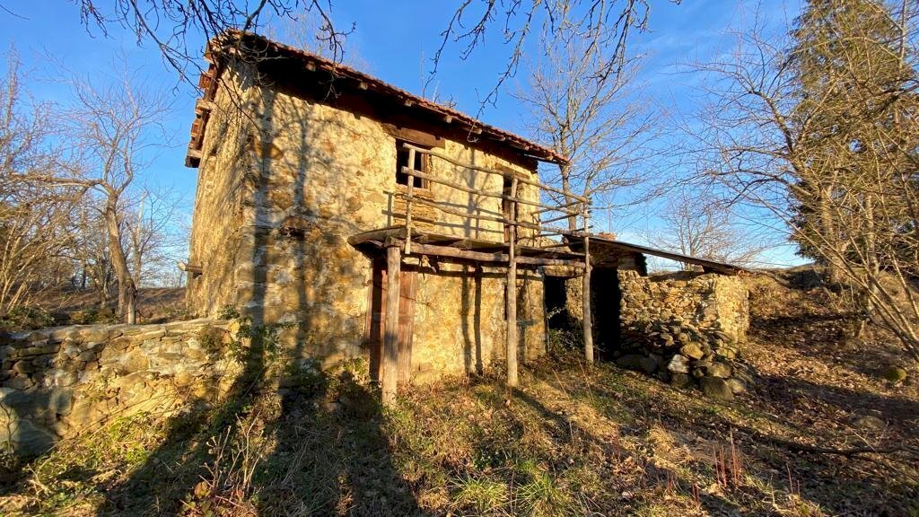 WhatsApp Image 2023-03-11 at 18.24.06.jpeg - Rustic Dego - photo 1