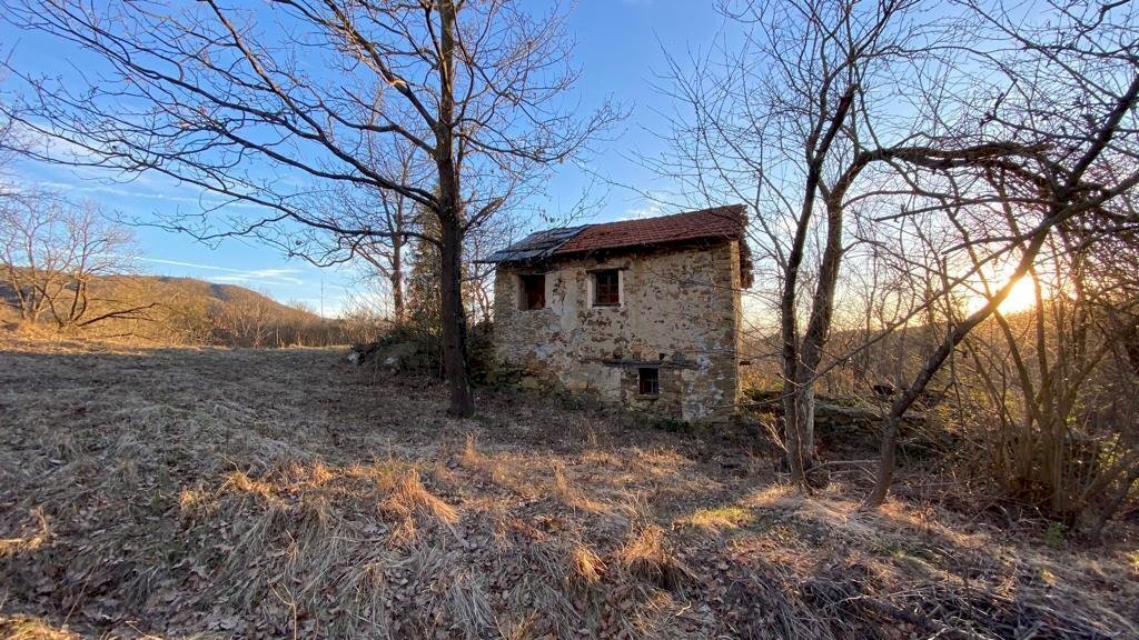 WhatsApp Image 2023-03-11 at 18.24.06 (9).jpeg - Rustic Dego - photo 3