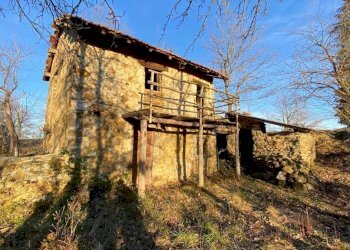 WhatsApp Image 2023-03-11 at 18.24.06.jpeg - Rustico Dego - foto 1