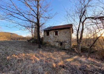 WhatsApp Image 2023-03-11 at 18.24.06 (9).jpeg - Rustico Dego - foto 3