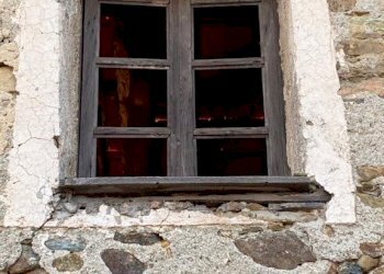 WhatsApp Image 2023-03-11 at 18.24.06 (10).jpeg - Rustico Dego - foto 7