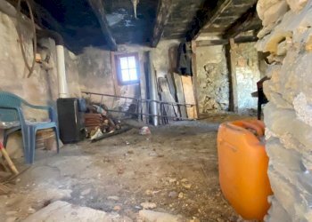 WhatsApp Image 2023-03-11 at 18.24.06 (3).jpeg - Rustico Dego - foto 8