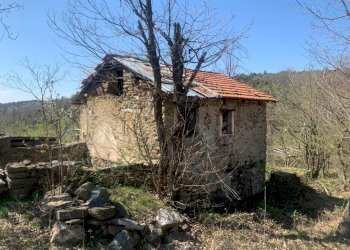 WhatsApp Image 2021-04-30 at 09.27.42 (6).jpeg - Rustico Dego - foto 9