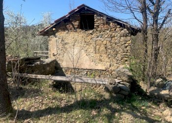 WhatsApp Image 2021-04-30 at 09.27.42 (5).jpeg - Rustico Dego - foto 15