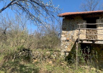 WhatsApp Image 2021-04-30 at 09.27.42 (1).jpeg - Rustico Dego - foto 18