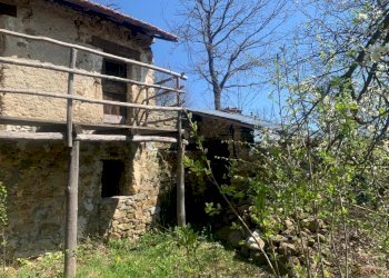 WhatsApp Image 2021-04-30 at 09.27.42 (2).jpeg - Rustico Dego - foto 19