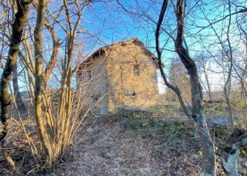 WhatsApp Image 2023-03-11 at 18.24.06 (8).jpeg - Rustico Dego - foto 25