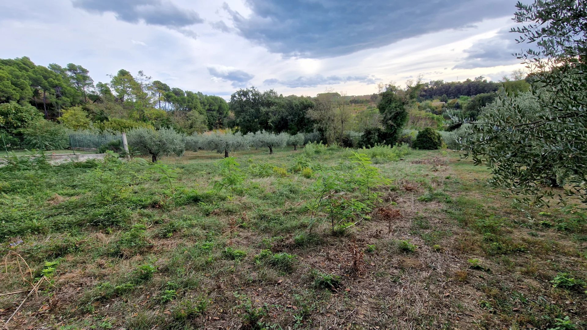 Terreno agricolo Pescara - foto 1